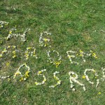 the garden classroom